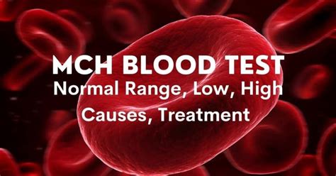 high mch blood test|High MCHC: Causes and Treatment .